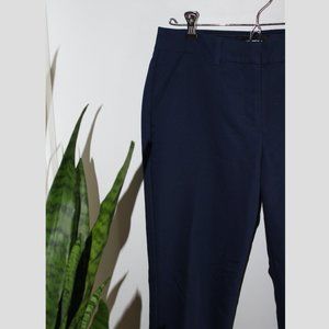 Express Blue Ankle Dress Pant